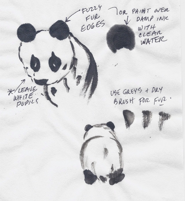 PandaStudy